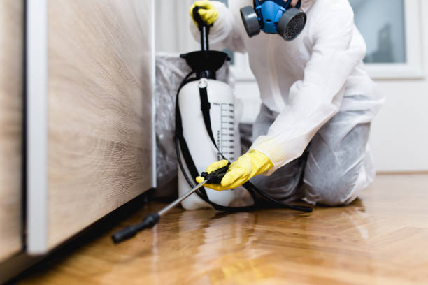 Best Commercial Pest Control Services  in Finderne, NJ