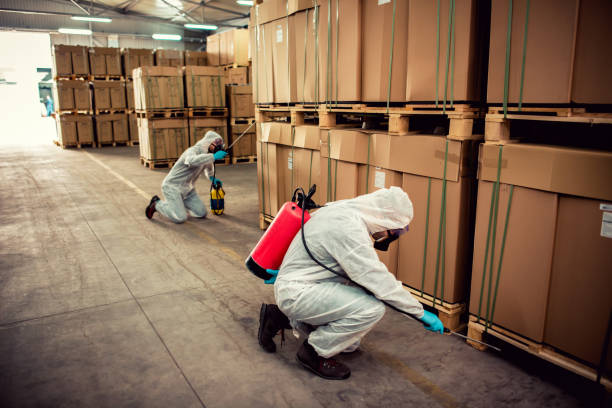 Best Ant Control Services  in Finderne, NJ