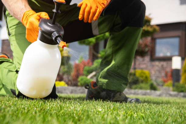 Pest Control for Restaurants in Finderne, NJ