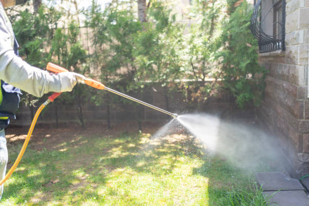 Best Local Pest Control Services  in Finderne, NJ