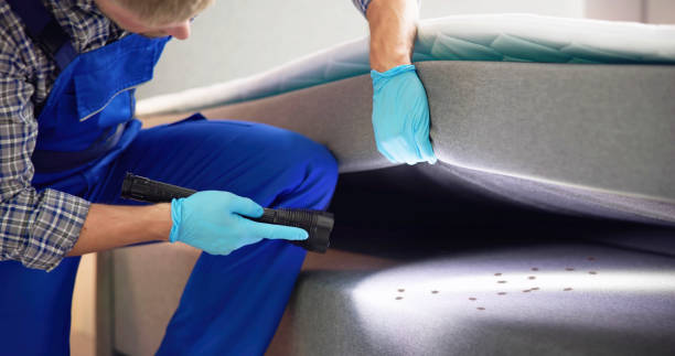 Best Rat Extermination Near Me  in Finderne, NJ
