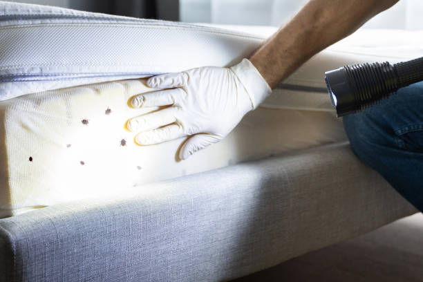 Best Pest Control for Restaurants  in Finderne, NJ