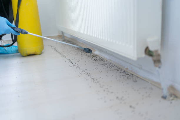 Best Commercial Pest Control Services  in Finderne, NJ