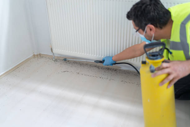 Best Affordable Pest Control Services  in Finderne, NJ