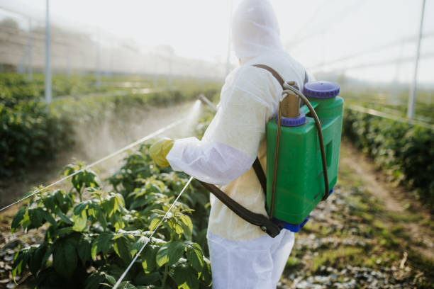 Best Best Pest Control Companies  in Finderne, NJ